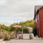 Nostrano Vineyards