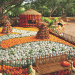 The Dallas Arboretum and Botanical Garden