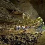 Mammoth Cave National Park