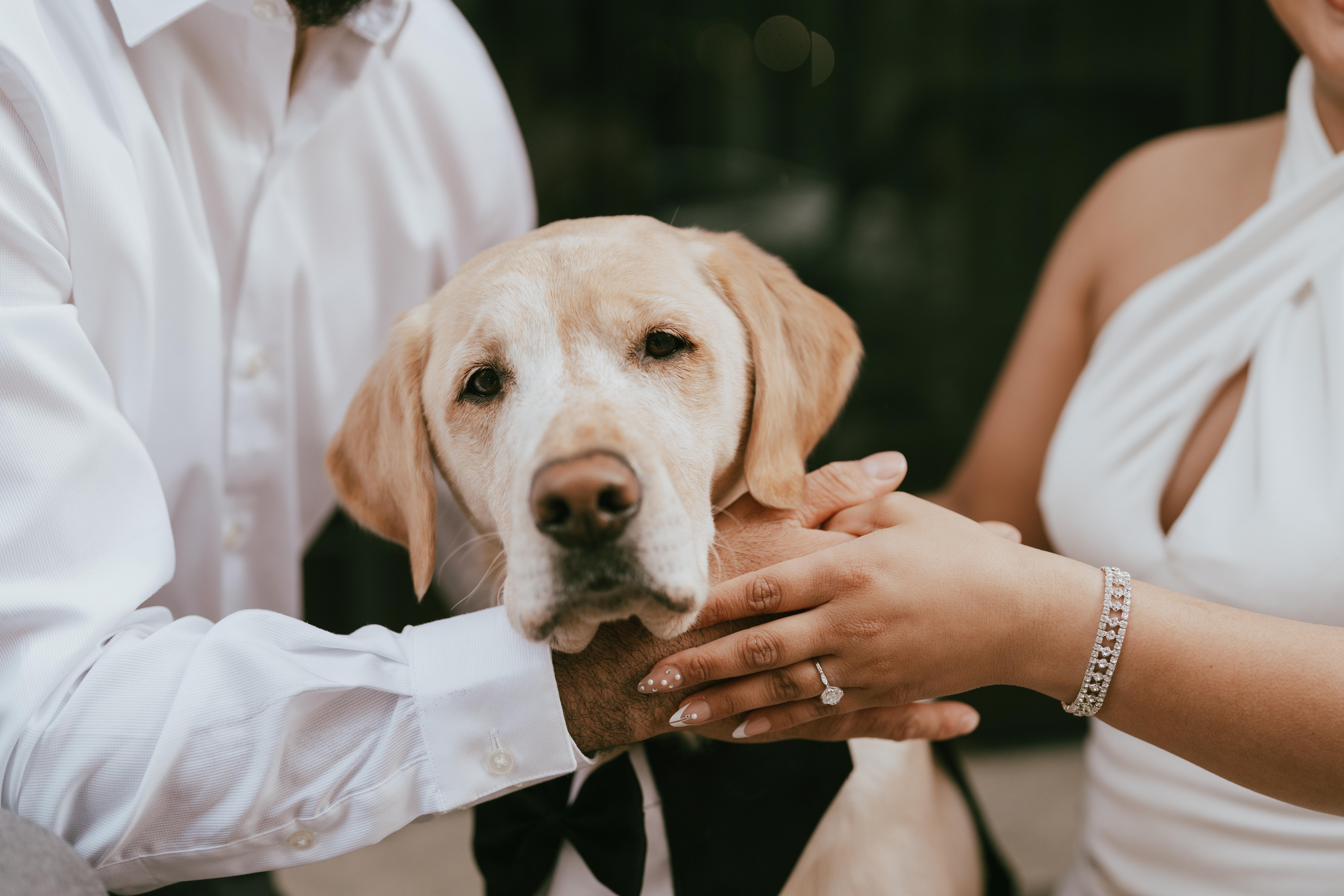 The Wedding Website of Victoria Urquiza and Anthony Ortiz