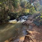 Hidden Falls Regional Park