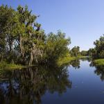 Zam's Swamp Tour
