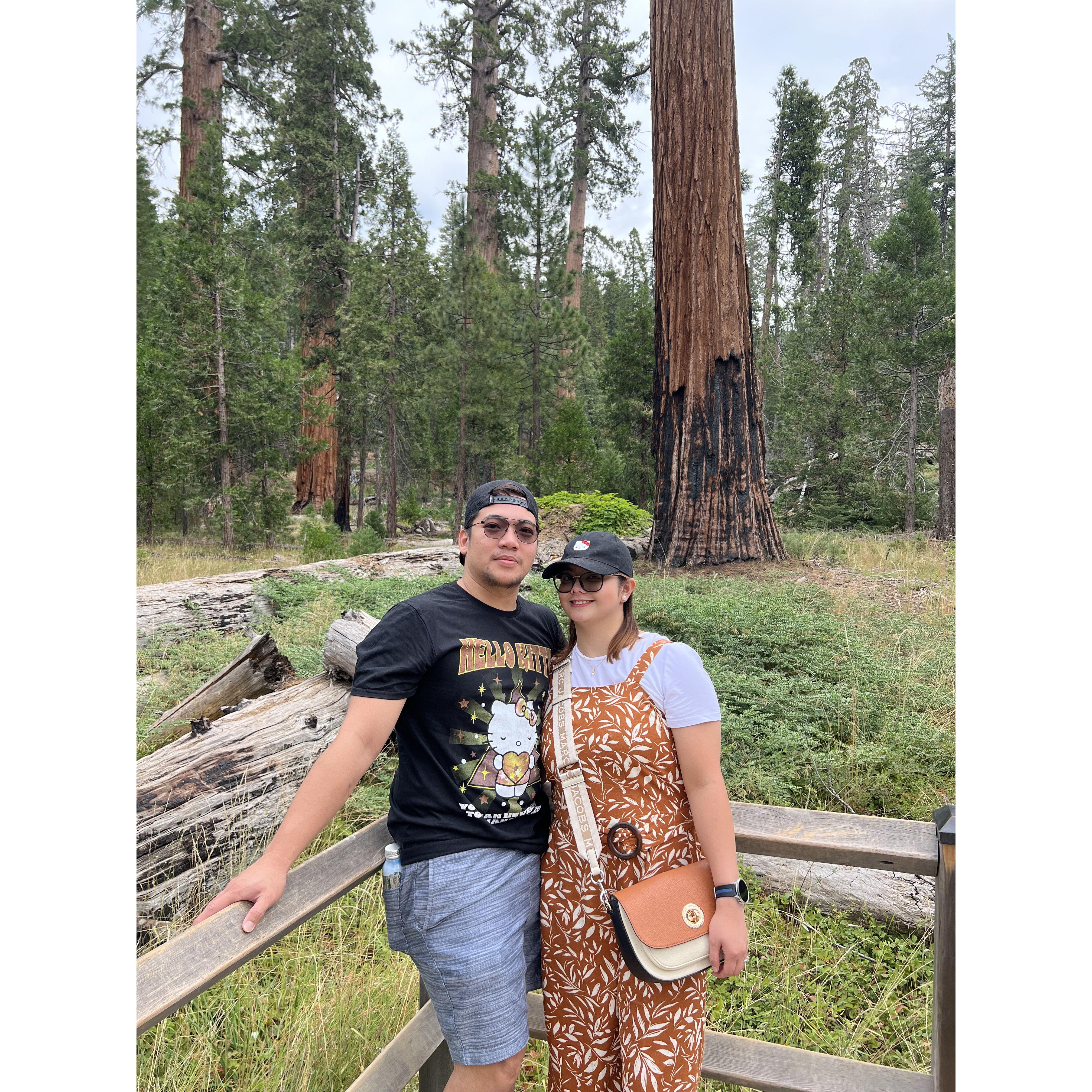 8/02/2024 - Mariposa Grove of Giant Sequoias