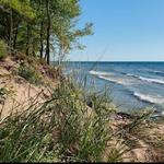 Saugatuck Dunes State Park