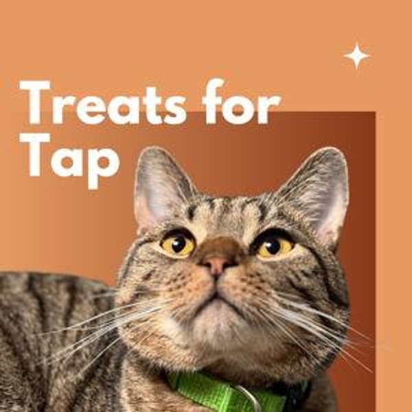 Treats for Tap