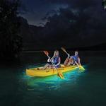 Bahía Bioluminiscente