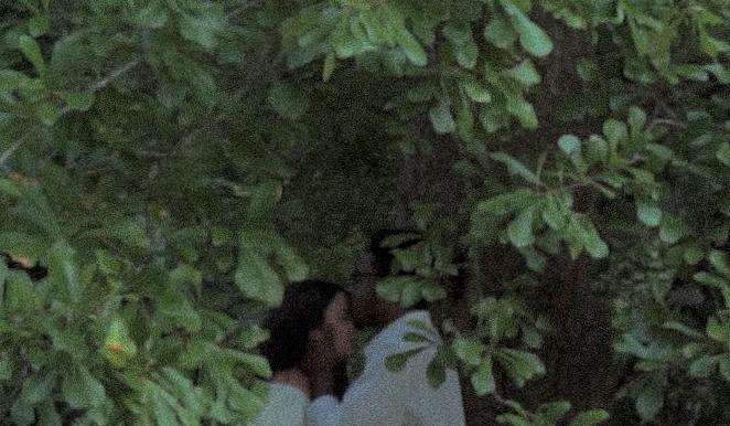 The Wedding Website of Alayna Hesterlee and Eric Holloway