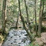 Parque Arvi