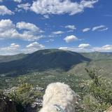 Ute Trail