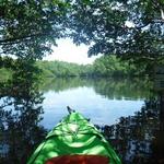 Weedon Island Preserve