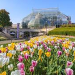 Phipps Conservatory and Botanical Gardens