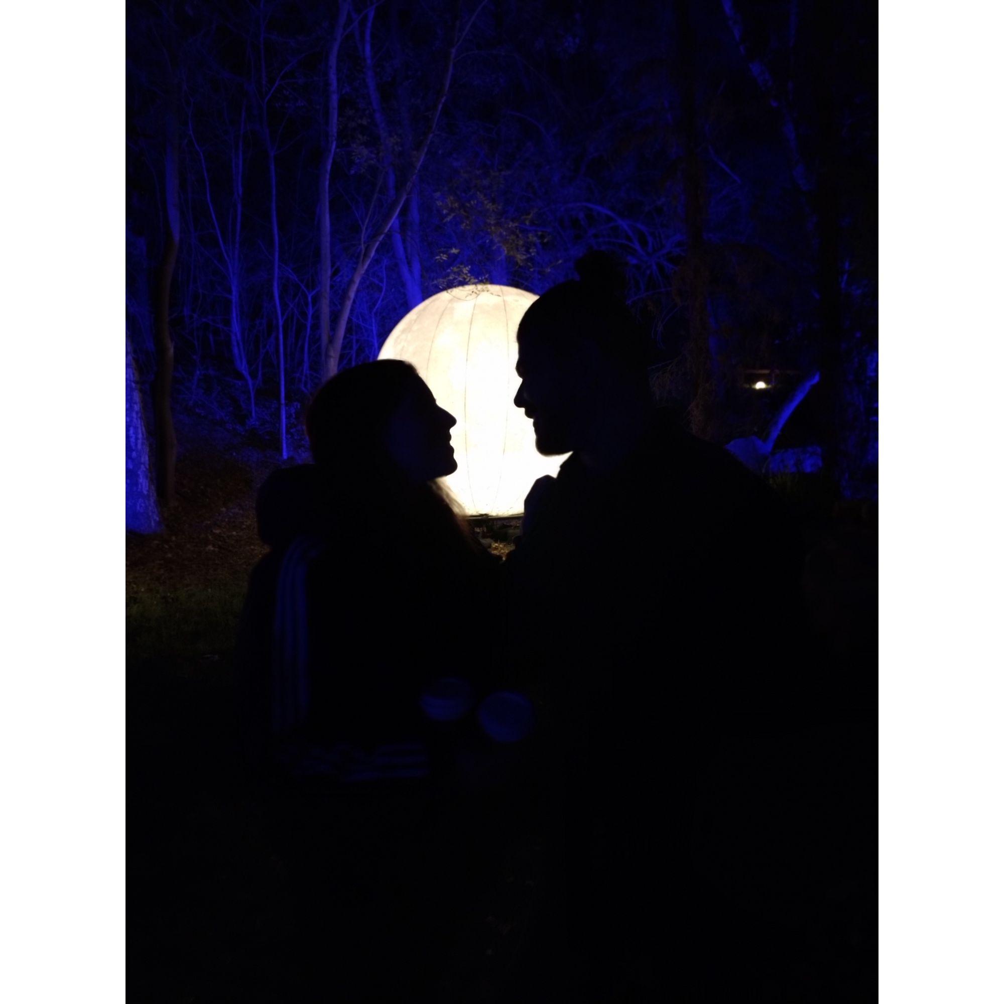 In November 2022, we closed the gap for the first time with Sarah visiting California. Brandon's stroke of genius led to this beautiful photo at Descanso Gardens.