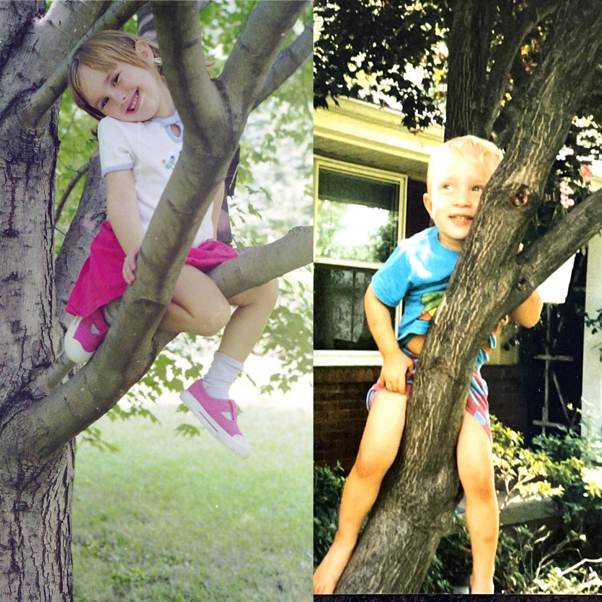 Tree climbin'