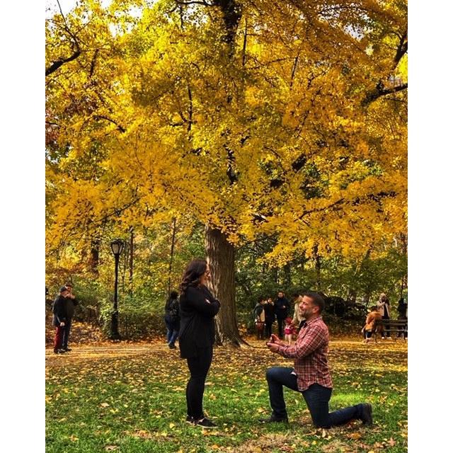We're Engaged 11/10/18- Central Park
