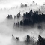 Olympic National Park