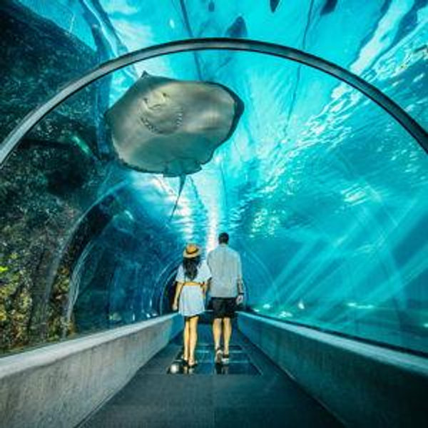 Maui Ocean Center