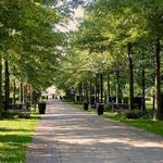 Vander Veer Botanical Park