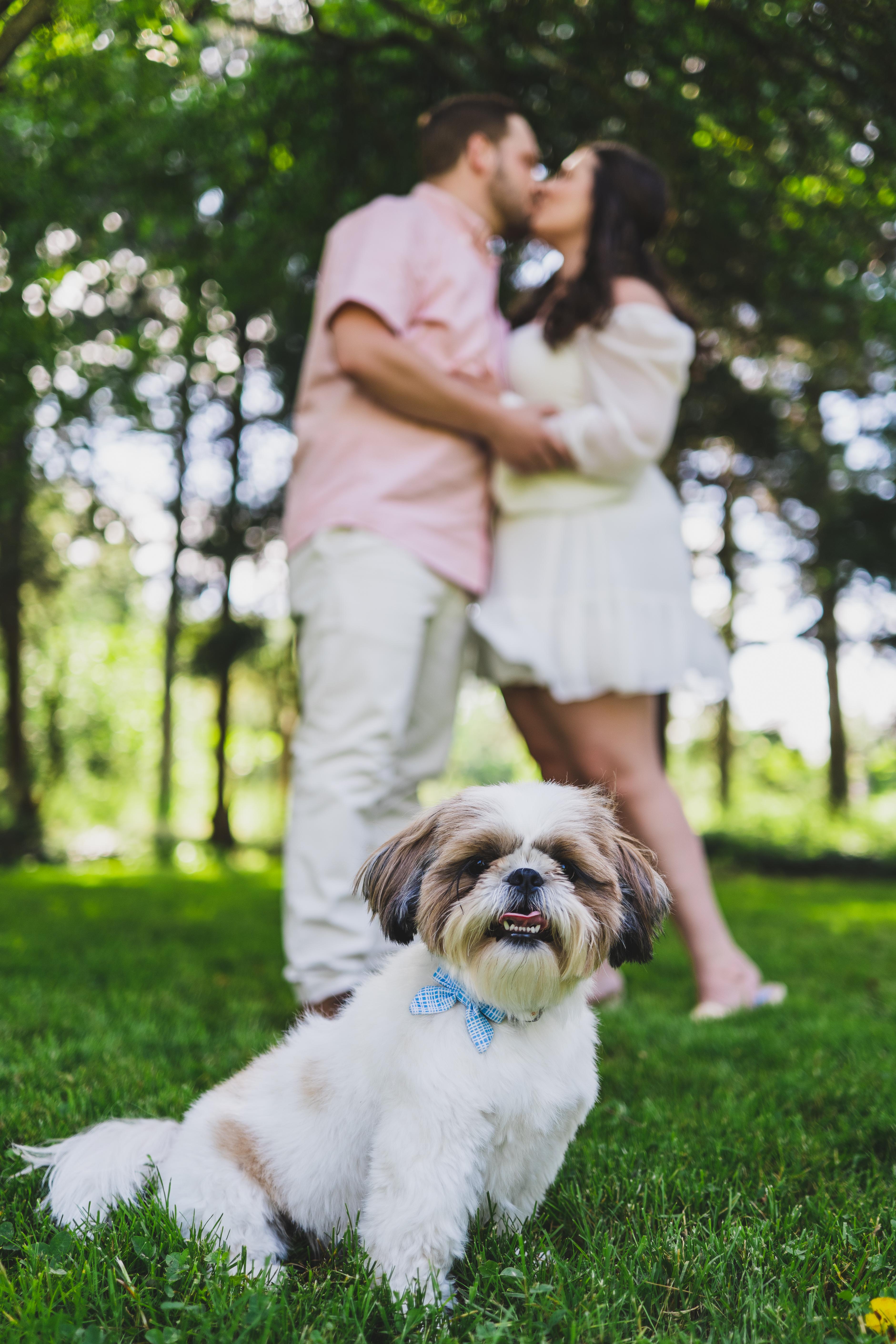 The Wedding Website of Jade Aitken and Shawn Atwell