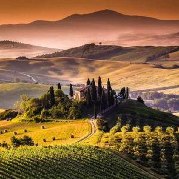 Wine Tour in Tuscany