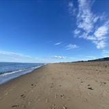 Plum Island
