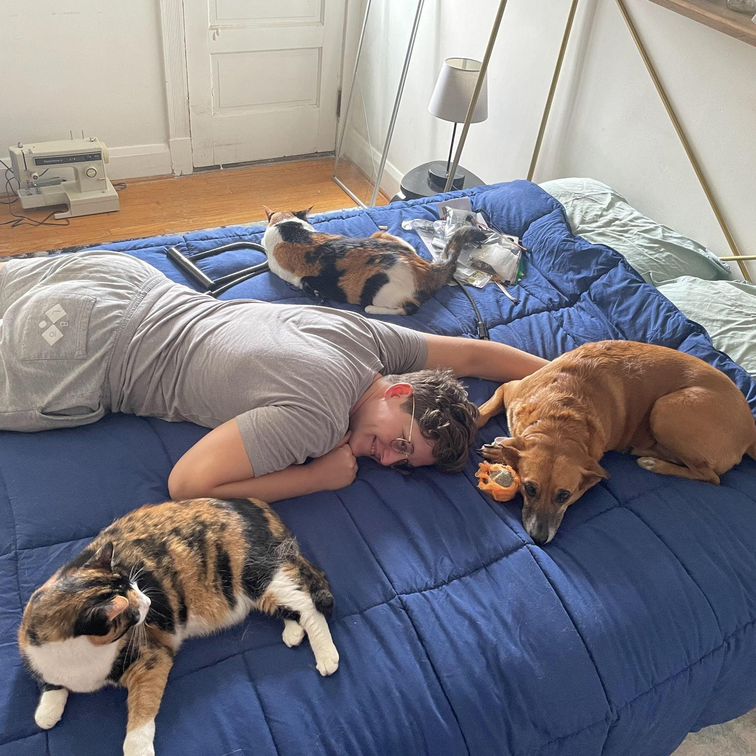 July 2024: Pets meet each other for the first time, not knowing yet that they would all be great buds, playmates, and bird chasers together.