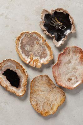 Petrified Wood Tray