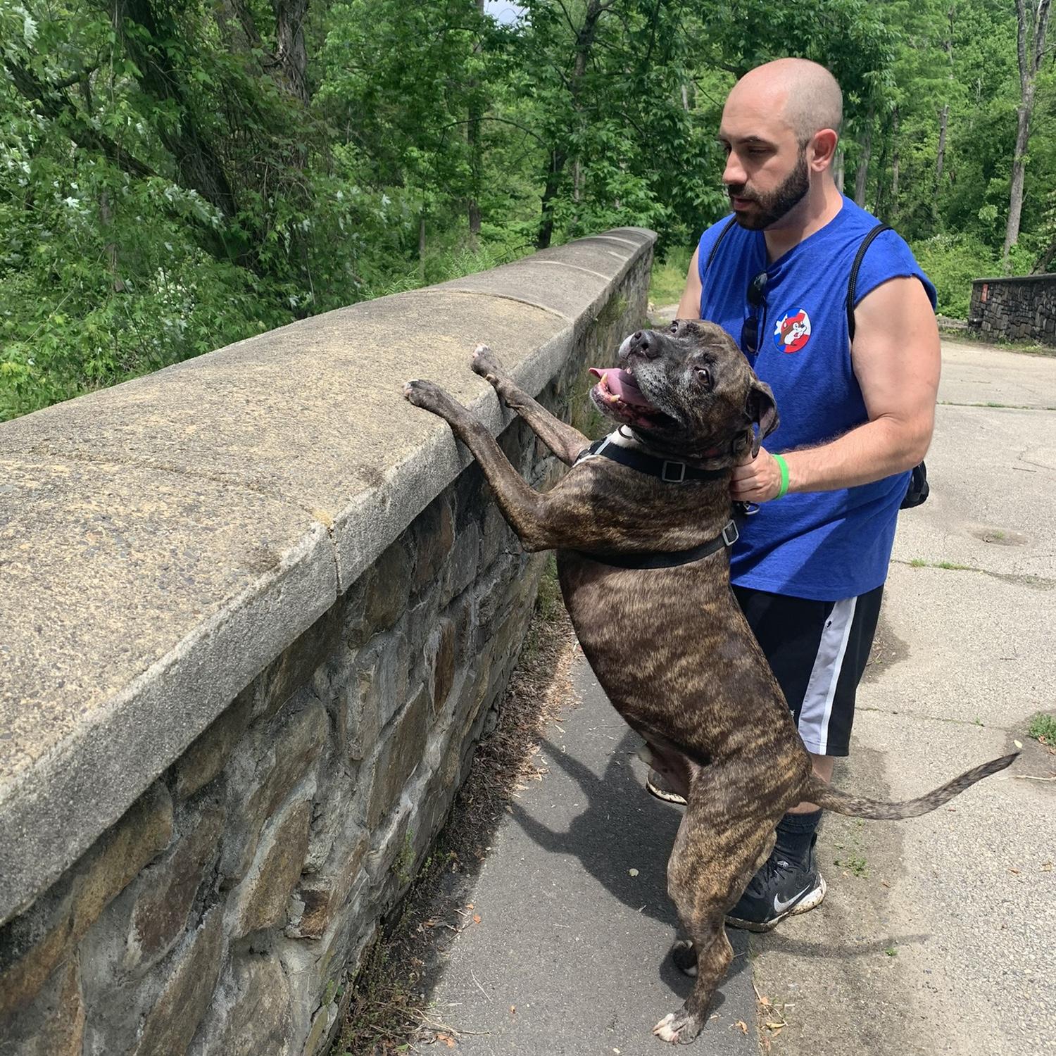 Swoop loves a hike
