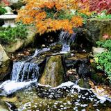 Anderson Japanese Gardens