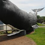 The Children's Museum