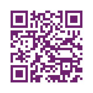The Wedding Website of Abla H and Hamzeh H
