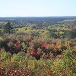 Chequamegon National Forest