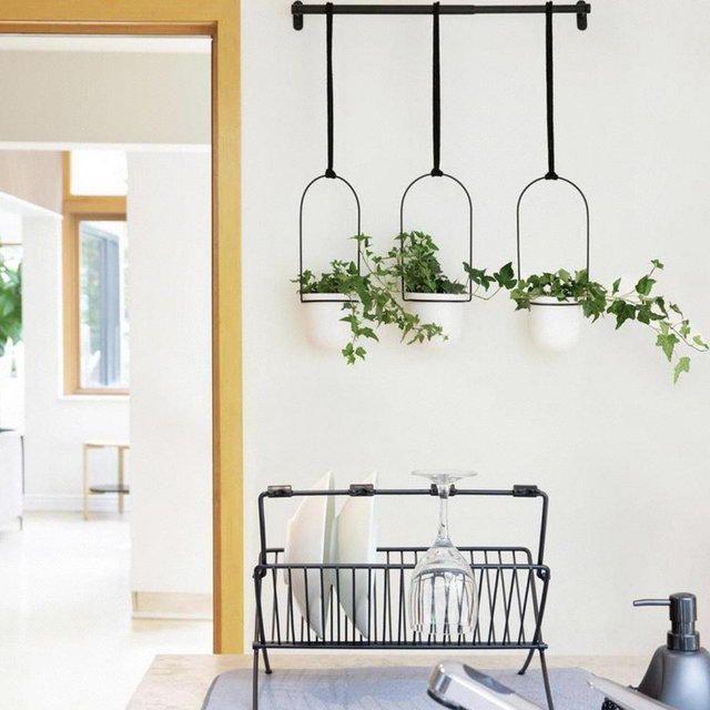 Triflora Hanging Planter