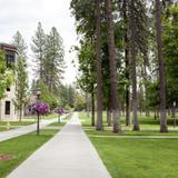 Whitworth University