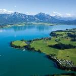Swim in the Forggensee