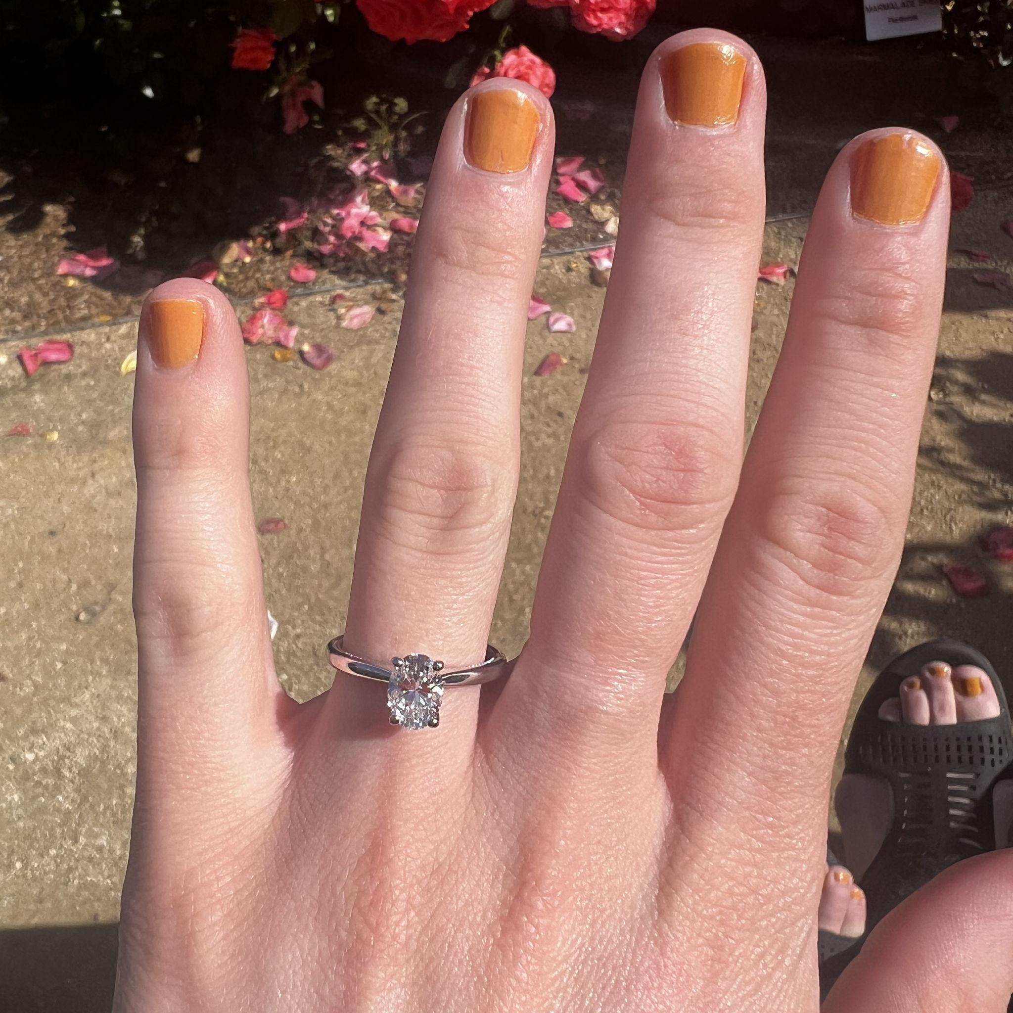 Proposal at the Capitol Gardens