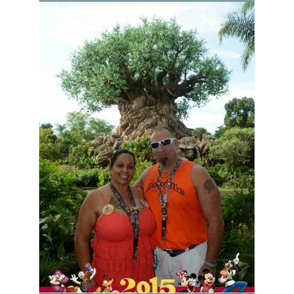 Disney 2015 -first time at Disney for my birthday!