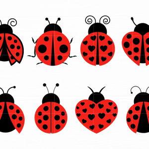 Lady Bug Lane Improvements