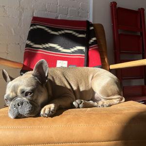 Willie's stay at Roxy's House