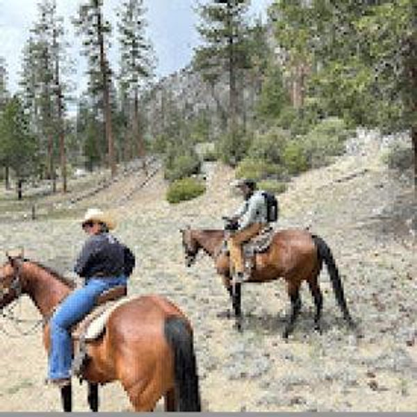 Horseback Riding in Foothills