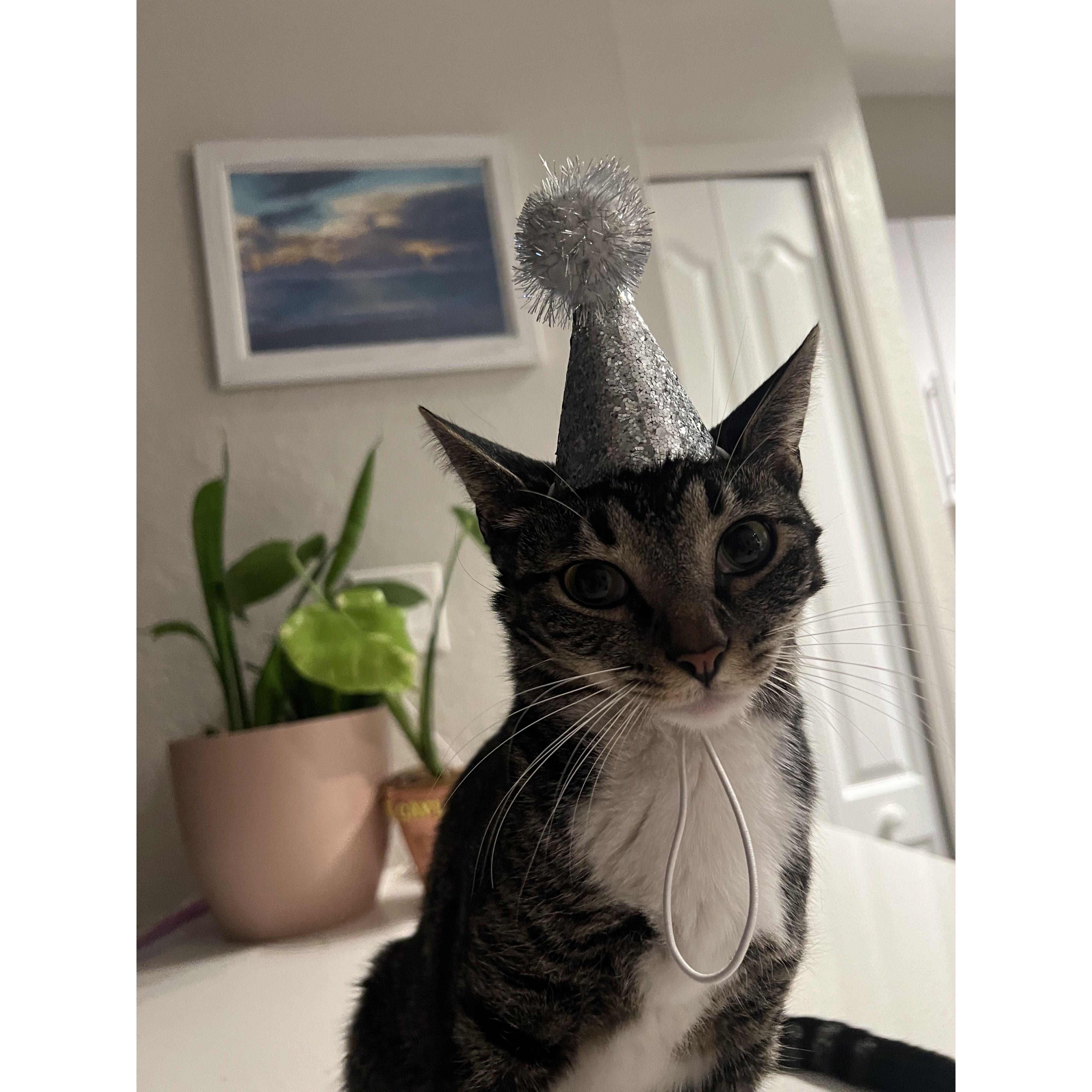 Millie is not as excited for her Mommies to get married. She also doesn't follow dress code.