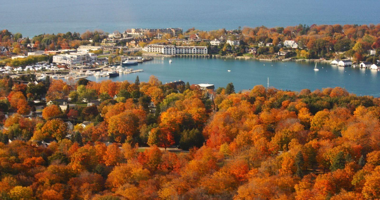 The Wedding Website of Jordan Robertson and Daniel Davidson