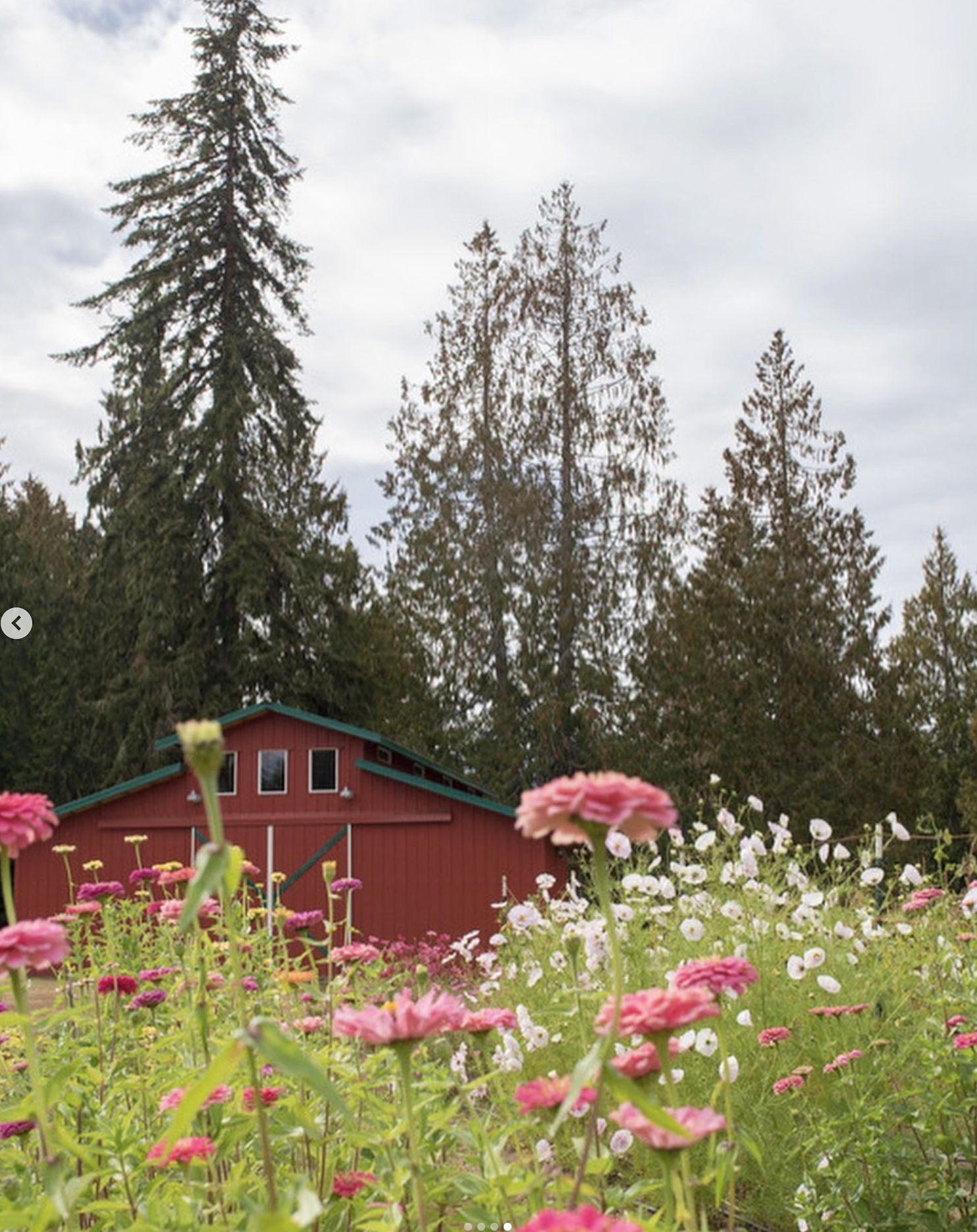 The Wedding Website of Claire Hudspeth and Michael Lindsey