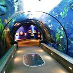 Oregon Coast Aquarium