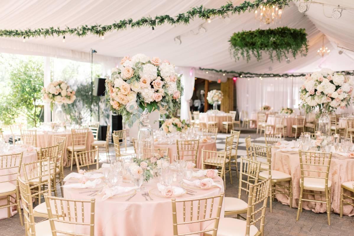 The Wedding Website of Nicole Delgado and Alex Blaj