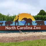 North Carolina Zoo