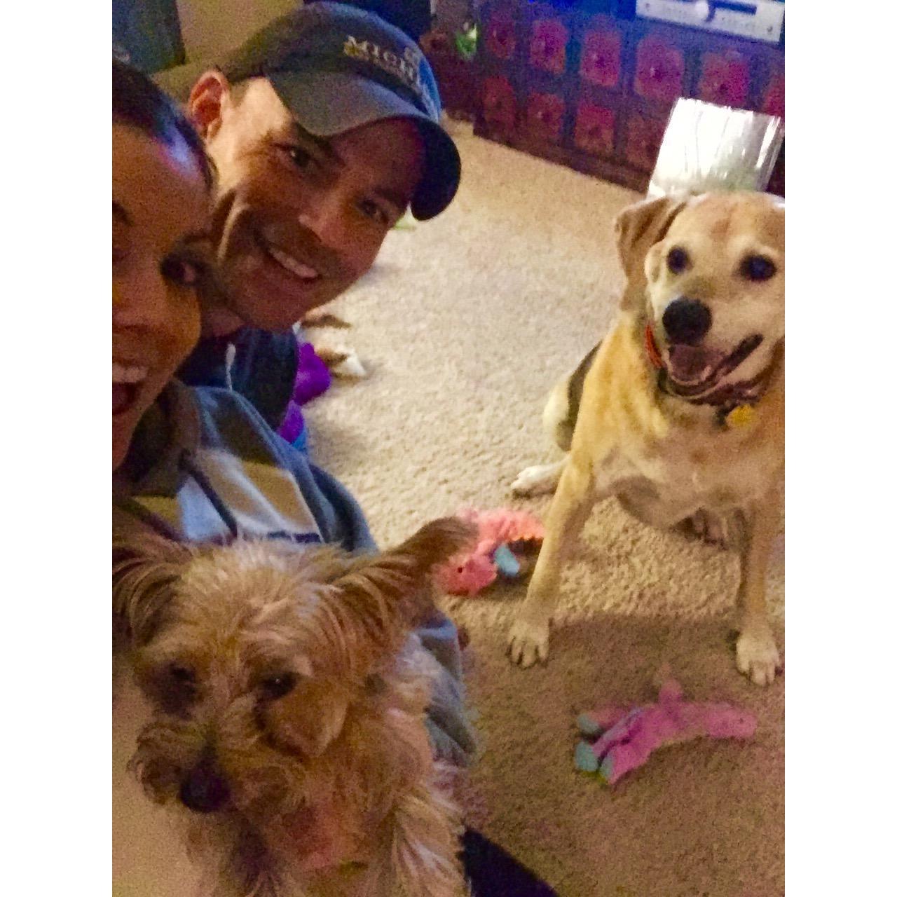 Meeting the Kodi Bear for the first time! in Ann Arbor Michigan