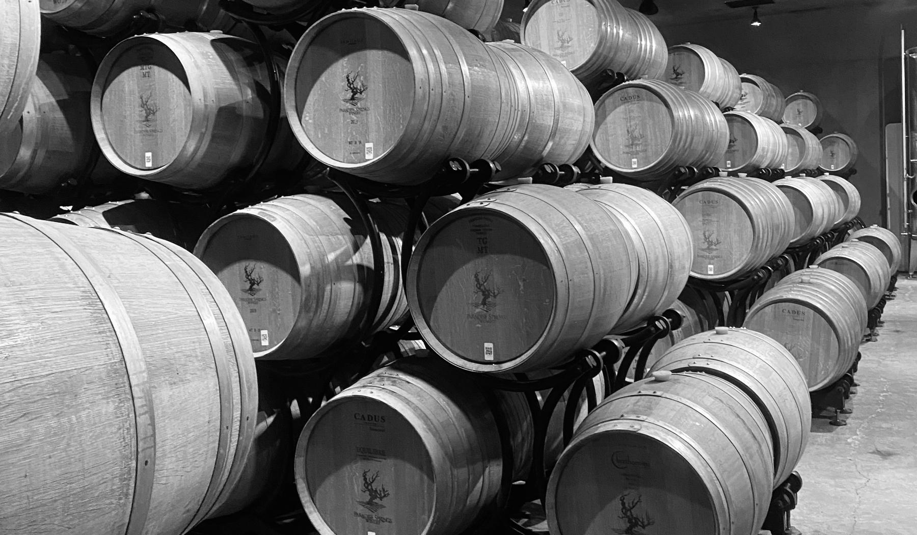 The Wedding Website of Yasmein Joyelle Akl and Noah Christopher Falke