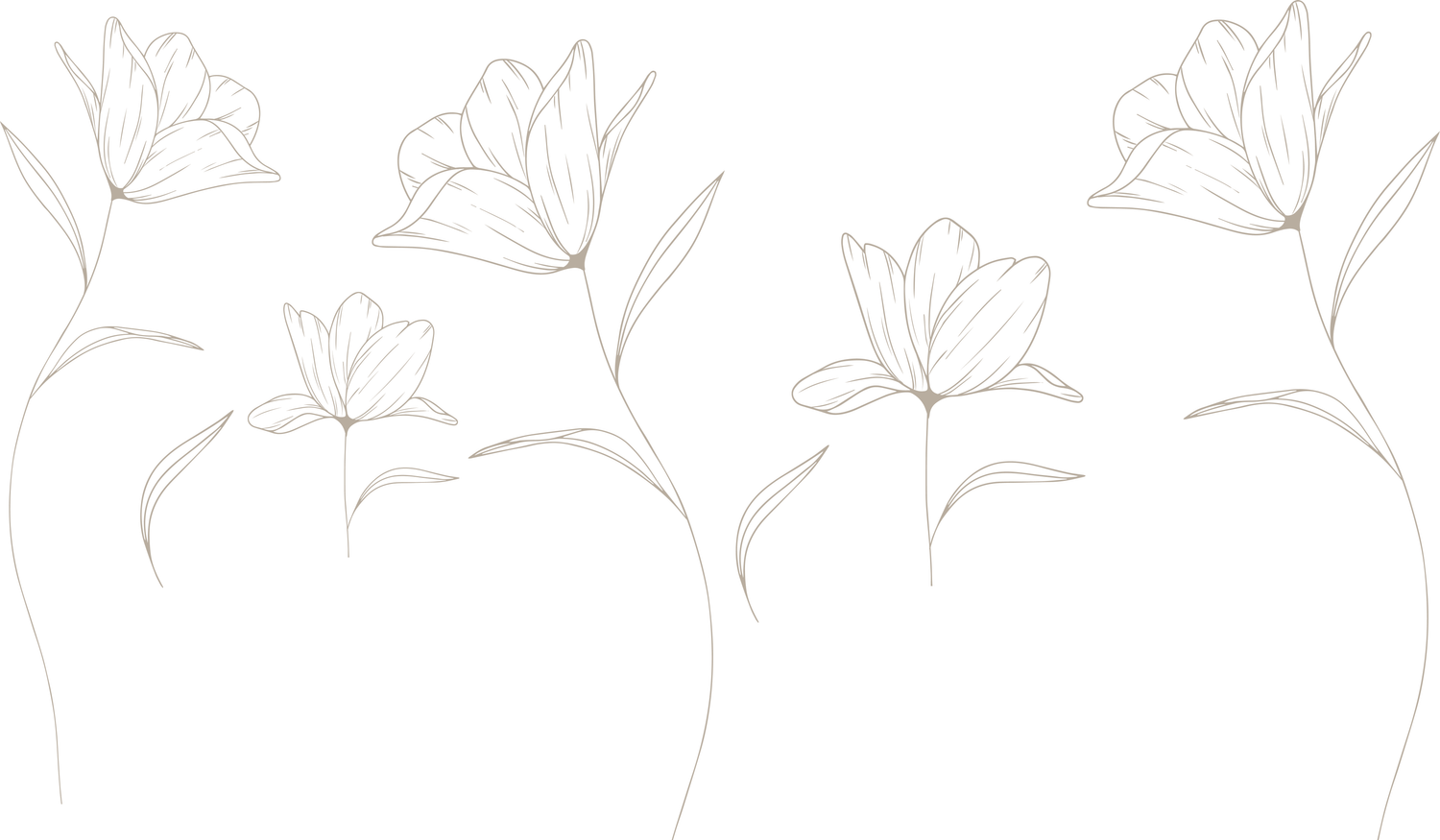 Footer image