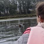 Kayak Connection