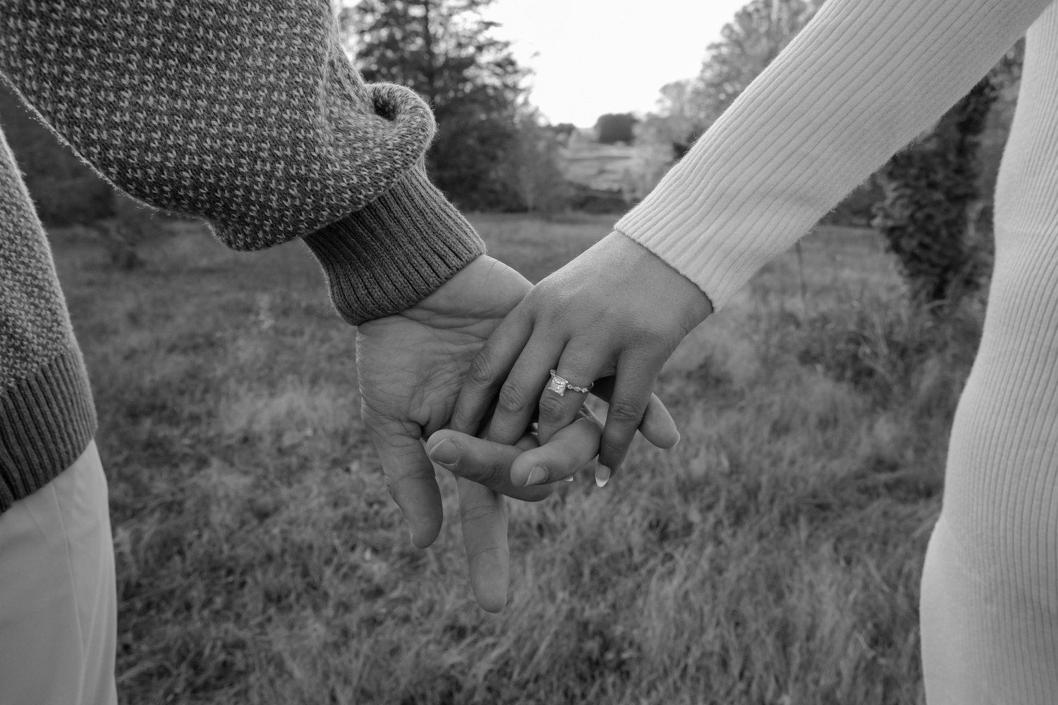 The Wedding Website of Eve Gilreath and Hayes Hollis